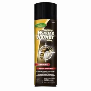 KILLER; WASP & HORNET FOAM SPRAY 15OZ